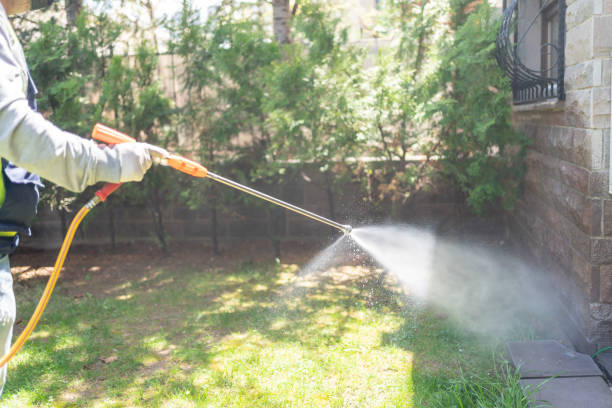 Outdoor Pest Control in Western Springs, IL